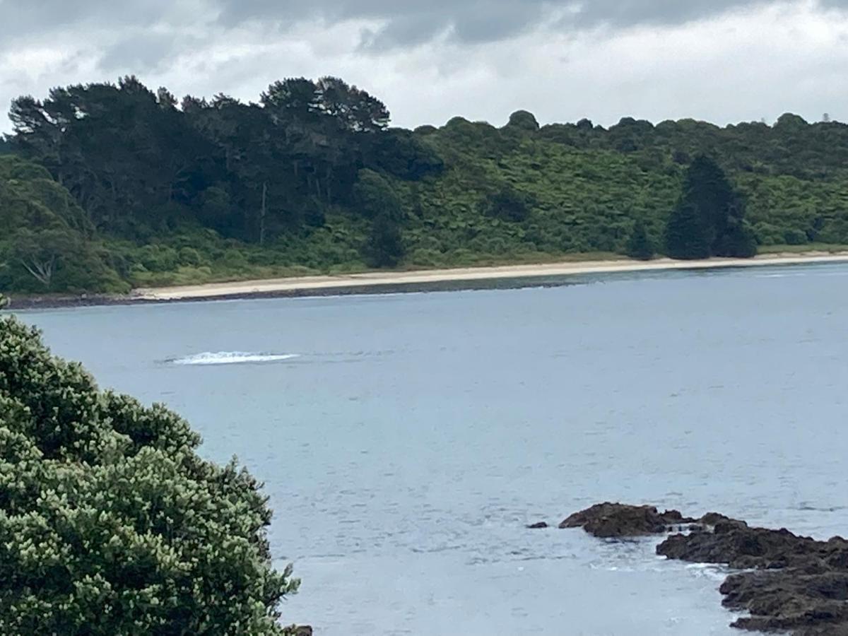 The Seahouse Leilighet Kerikeri Eksteriør bilde